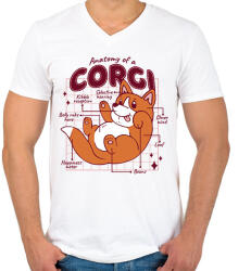 printfashion Corgi anatómia - Férfi V-nyakú póló - Fehér (13387405)