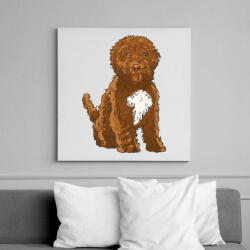 printfashion Cockapoo kutya - Vászonkép - Fehér (8462665)