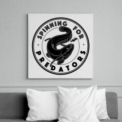 printfashion SpinningForPredators - Vászonkép - Fehér (6638149)