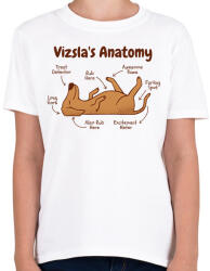 printfashion Vizsla anatómia - Gyerek póló - Fehér (7530270)