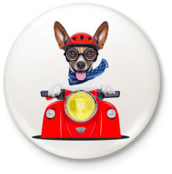 printfashion Jack Russel motorozik - Kitűző, hűtőmágnes - Fehér (3078018)