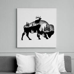 printfashion Bölény - Vászonkép - Fehér (6627852)