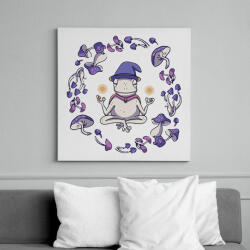 printfashion Béka és magic mushrooms - Vászonkép - Fehér (6638946)