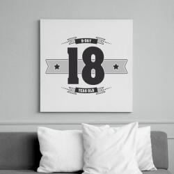 printfashion b-day-18-dark-lightgrey - Vászonkép - Fehér (6622797)