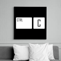 printfashion Ctrl + C - Vászonkép - Fekete (6650574)