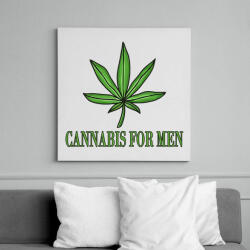printfashion Cannabis for men - Vászonkép - Fehér (6631046)