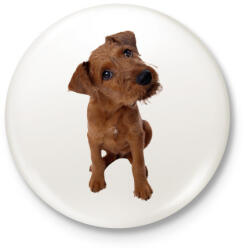 printfashion Cute Dog - Kitűző, hűtőmágnes - Fehér (3081311)