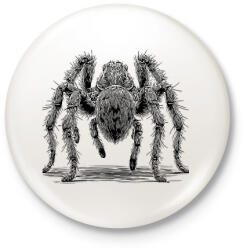 printfashion Madárpók / Tarantula / Pók rajz - Kitűző, hűtőmágnes - Fehér (16685238)