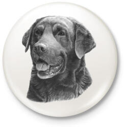 printfashion Labrador - Kitűző, hűtőmágnes - Fehér (3082685)