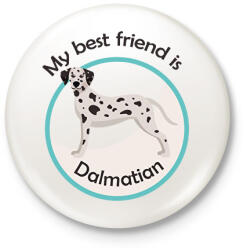 printfashion My best friend - Dalmatian - Kitűző, hűtőmágnes - Fehér (6299216)