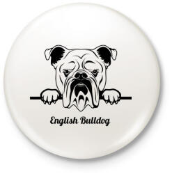 printfashion English Bulldog - Kitűző, hűtőmágnes - Fehér (5115774)