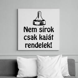 printfashion Nem sírok csak kaját rendelek - Vászonkép - Fehér (6627689)