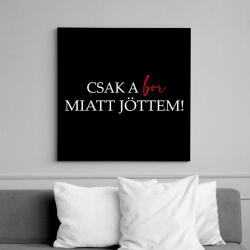 printfashion Csak a BOR miatt jöttem! - Vászonkép - Fekete (16752364)