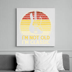 printfashion Basszusgitáros - Vászonkép - Fehér (15681309)