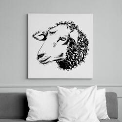 printfashion Sheep drawing - Vászonkép - Fehér (6627226)