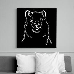 printfashion Fehér quokka - Vászonkép - Fekete (14001614)