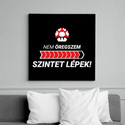 printfashion Nem öregszem, szintet lépek! - Vászonkép - Fekete (11449726)