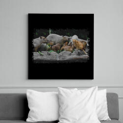 printfashion cica és capybarák - Vászonkép - Fekete (14649634)