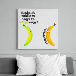 printfashion furának találom. . . - Vászonkép - Fehér (6631488)
