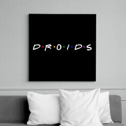 printfashion Droids - Vászonkép - Fekete (6646254)