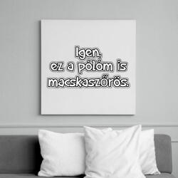 printfashion Macskaszőrös - Vászonkép - Fehér (13861930)