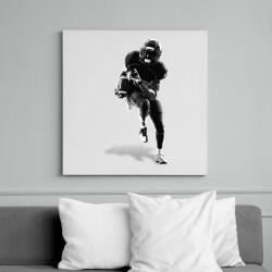 printfashion NFL Minnesota Vikings - Vászonkép - Fehér (6629905)