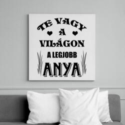 printfashion Legjobb anya - Vászonkép - Fehér (6632704)
