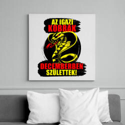 printfashion Decemberi Kobra - Vászonkép - Fehér (6639837)