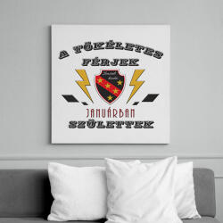 printfashion Tökéletes férjek január - Vászonkép - Fehér (6633905)