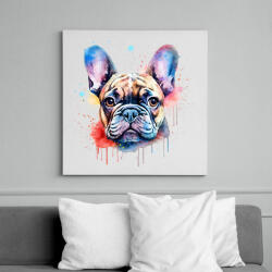 printfashion Francia bulldog - Vászonkép - Fehér (14023106)