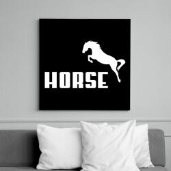 printfashion HORSE (Puma stílus) - Vászonkép - Fekete (6653883)