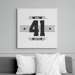 printfashion b-day-41-dark-lightgrey - Vászonkép - Fehér (6622822)