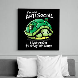 printfashion Antiszoci teknős - Vászonkép - Fekete (6644691)