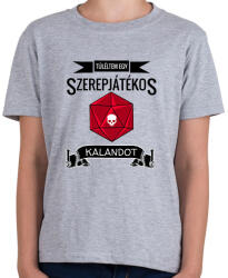 printfashion Túléltem egy Szerepjátékos Kalandot (fekete) - Gyerek póló - Sport szürke (2645452)