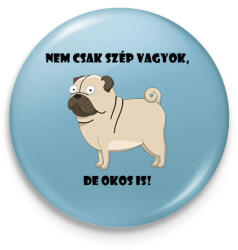 printfashion Nem csak szép vagyok - Kitűző, hűtőmágnes - Világoskék (13903710)