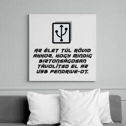 printfashion Az élet túl rövid - Vászonkép - Fehér (6627044)