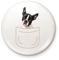 printfashion Boston terrier kölyök zsebben - Kitűző, hűtőmágnes - Fehér (7098641)
