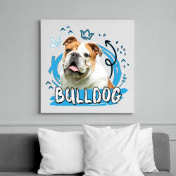 printfashion Bulldog firka - Vászonkép - Fehér (11852071)