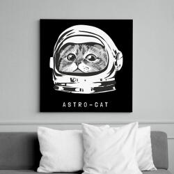 printfashion Astro cica - Vászonkép - Fekete (6658004)