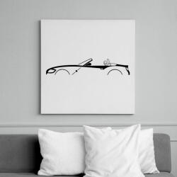 printfashion BMW Z4 Fekete - Vászonkép - Fehér (16091135)