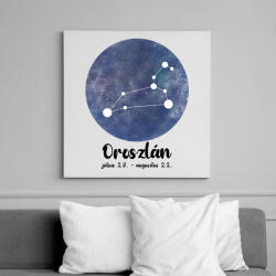 printfashion Oroszlán - Vászonkép - Fehér (7475515)