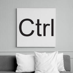 printfashion CTRL - Vászonkép - Fehér (6633356)