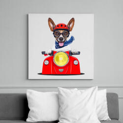 printfashion Jack Russel motorozik - Vászonkép - Fehér (6624406)