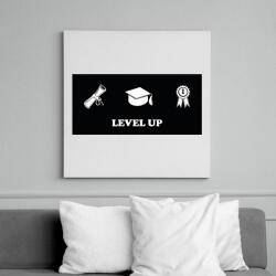 printfashion Level up - Diplomás minta - Vászonkép - Fehér (6640880)