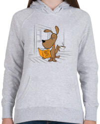 printfashion Hogyan trollkodj a macskákkal - Női kapucnis pulóver - Sport szürke (256048)