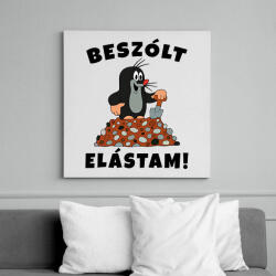 printfashion Kisvakond - Beszólt elástam! - Vászonkép - Fehér (6635528)