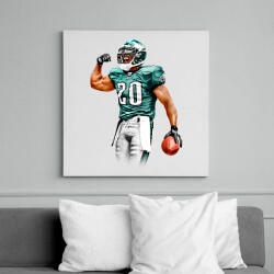 printfashion NFL Philadelphia Eagles - Vászonkép - Fehér (6629906)