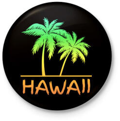 printfashion Hawaii - Kitűző, hűtőmágnes - Fekete (5011418)