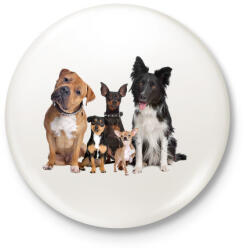 printfashion Kutyák - Kitűző, hűtőmágnes - Fehér (3077969)