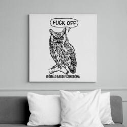 printfashion Irritáló bagoly szindróma - Vászonkép - Fehér (6625719)